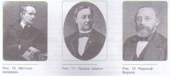 КЛЕТОЧНАЯ ТЕОРИЯ. ЕДИНСТВО ЖИВОЙ ПРИРОДЫ_002